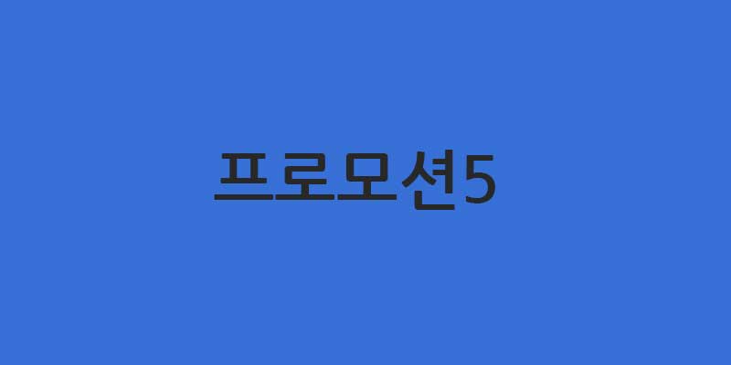 프로모션
